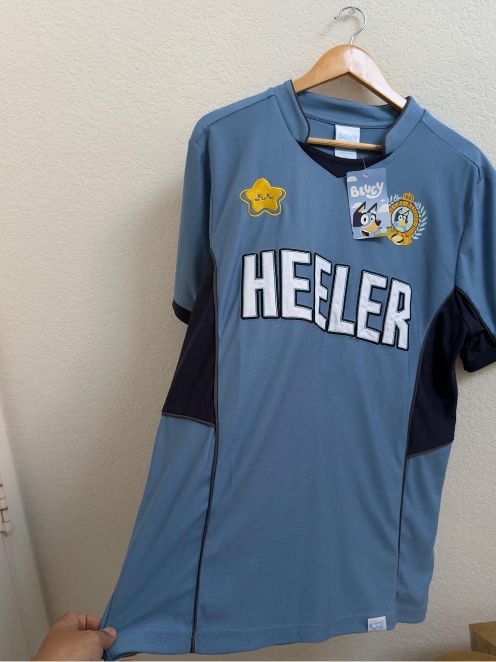 BLUEY - bandit Heeler Jersey in Slate Blue